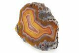 Polished Candy Agate Nodule - Malawi #255156-1